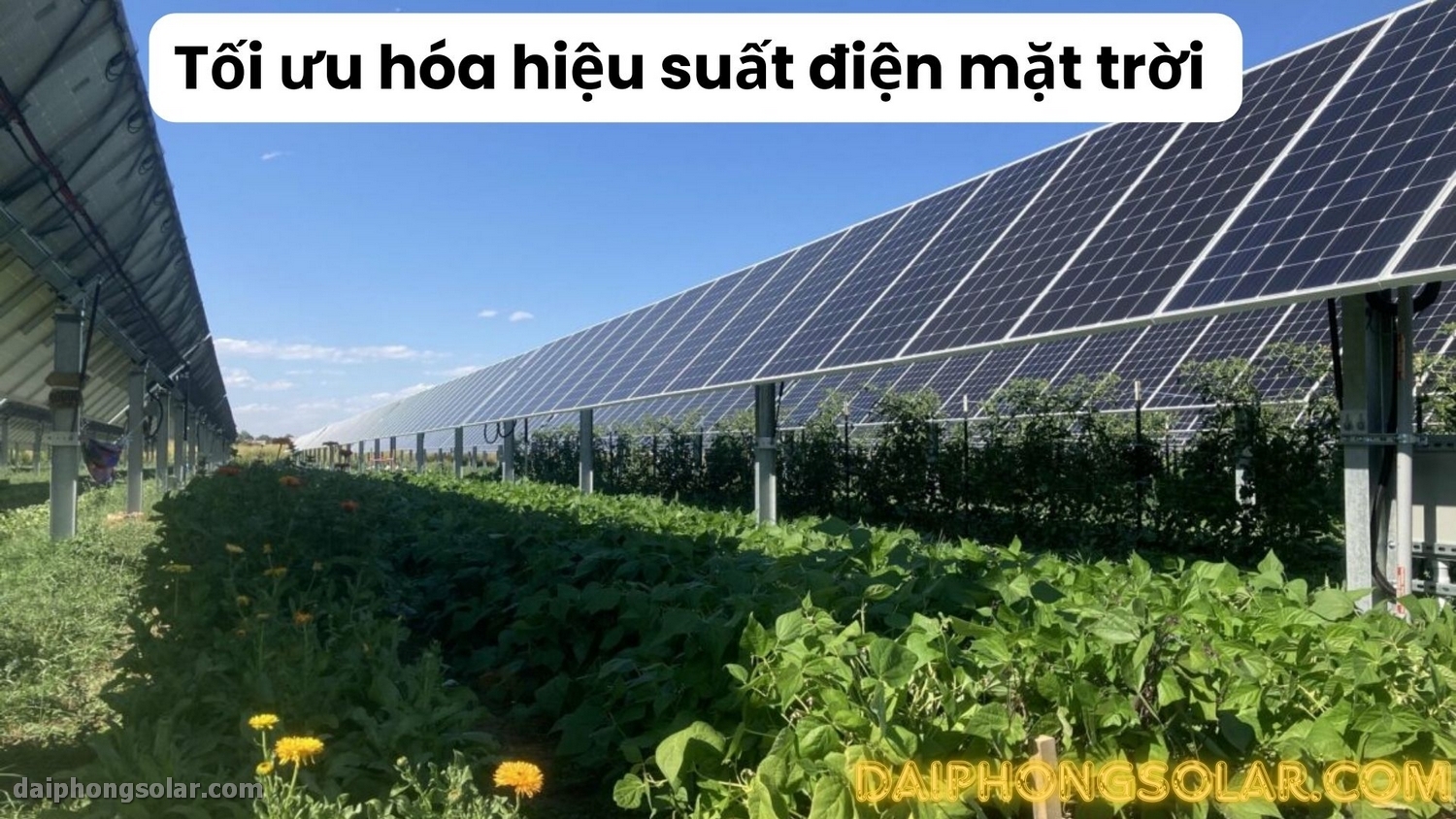 Cách Lắp Đặt Điện Mặt Trời Đạt Hiệu Suất Cao Mới Nhất 2024