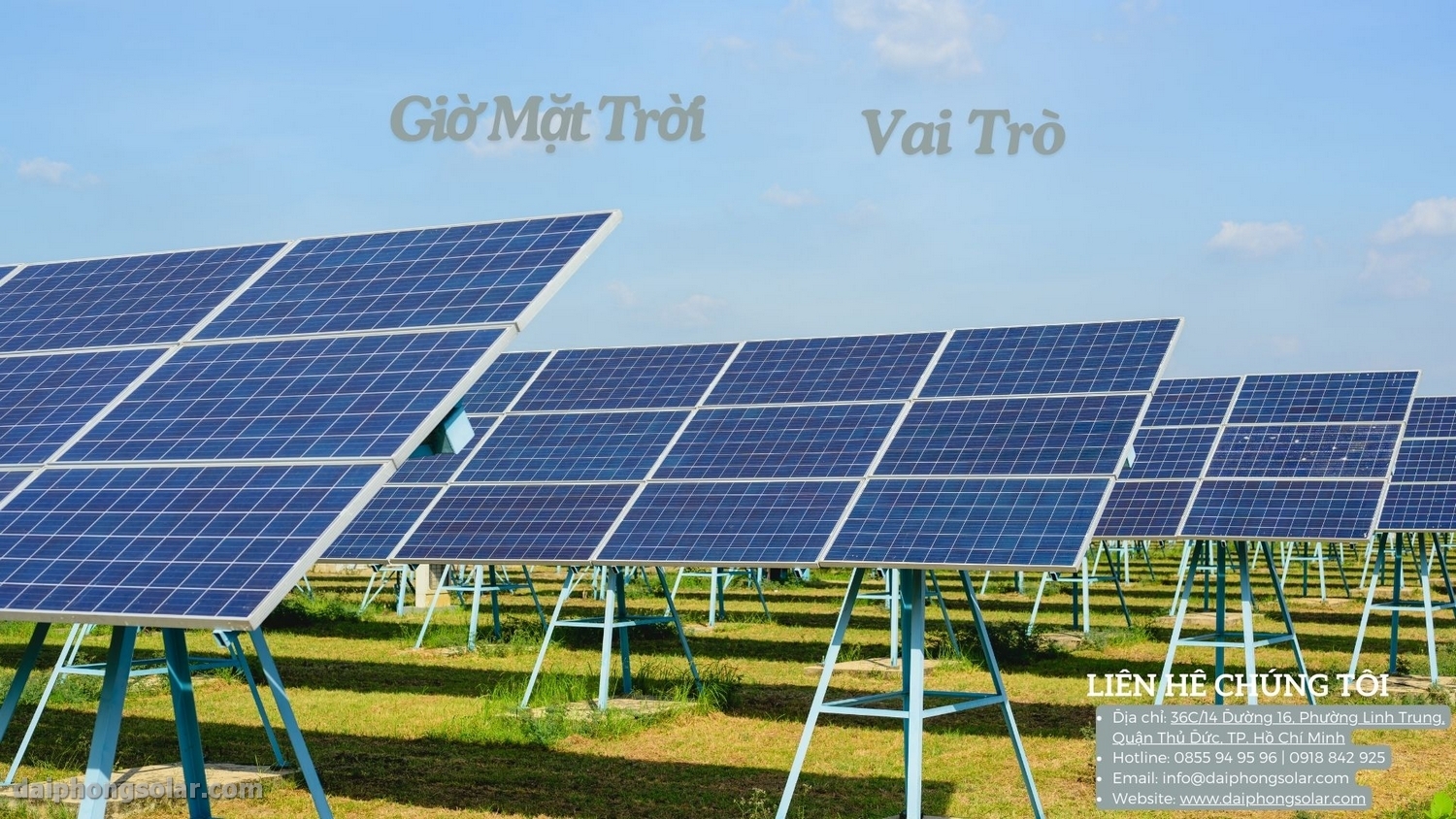 Giờ Mặt Trời Và Ứng Dụng Thực Tế