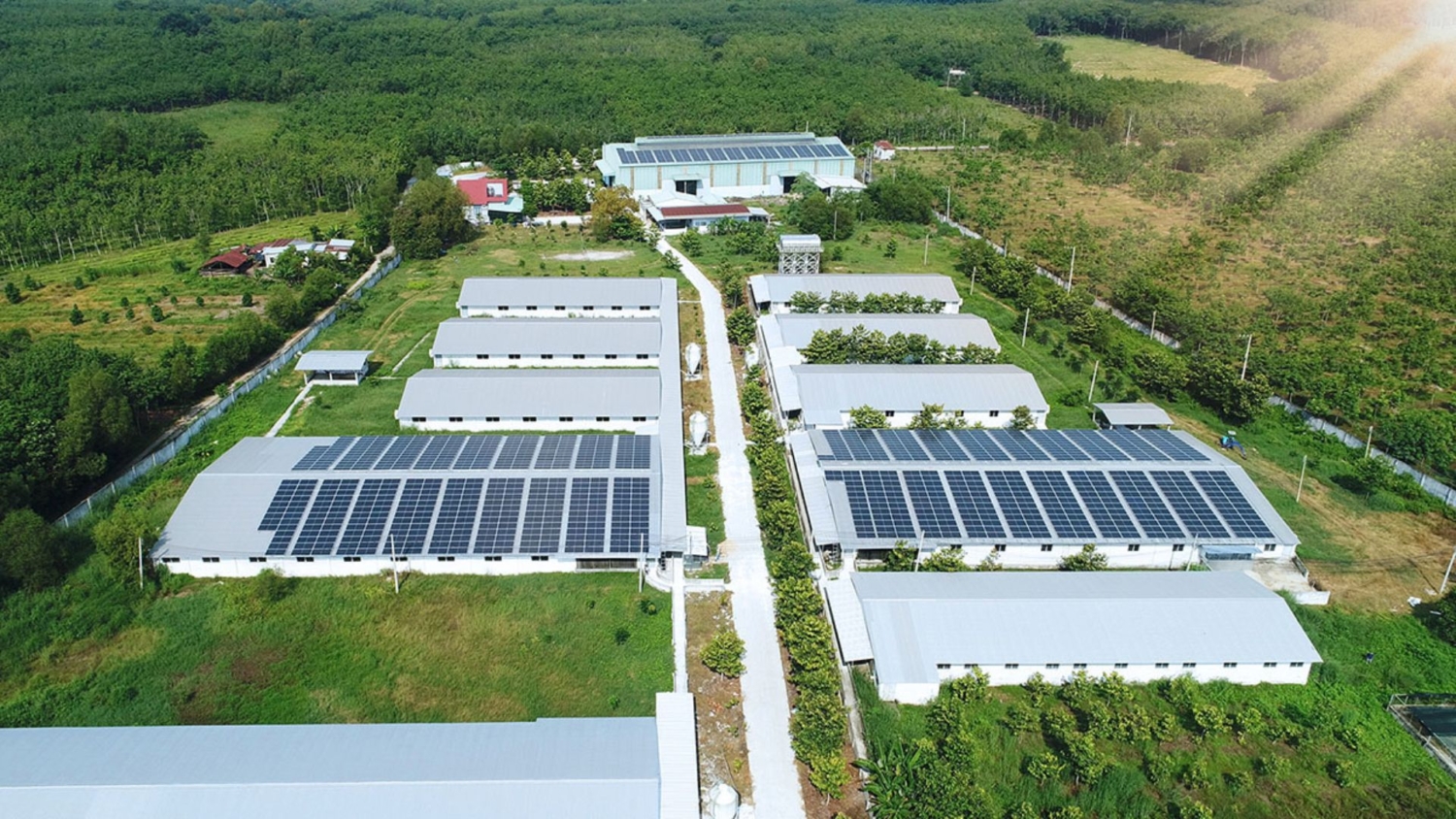 Lắp Đặt Hệ Thống Điện Năng Lượng Mặt Trời Cho Trang Trại Tiết Kiệm Chi Phí (4)