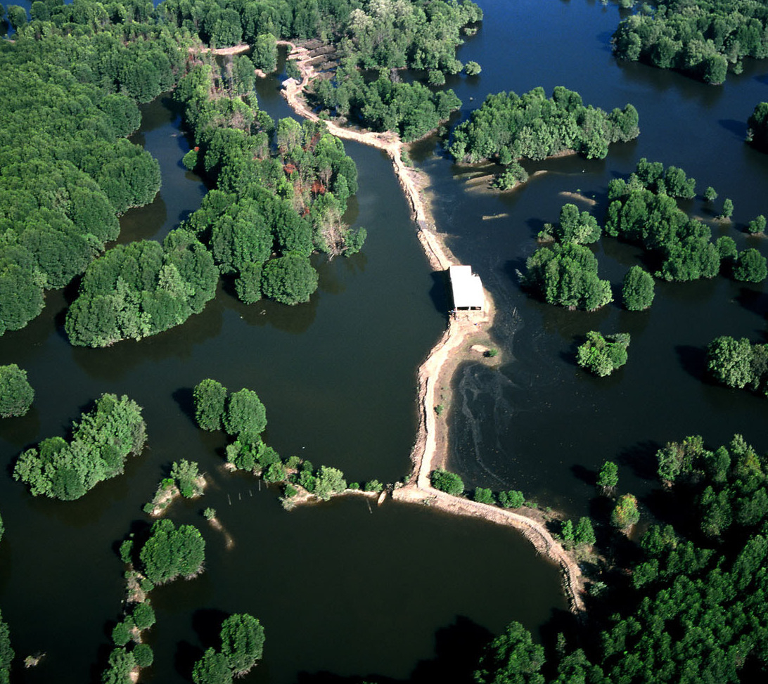 Huyện Cần Giờ Có Bao Nhiêu Xã?