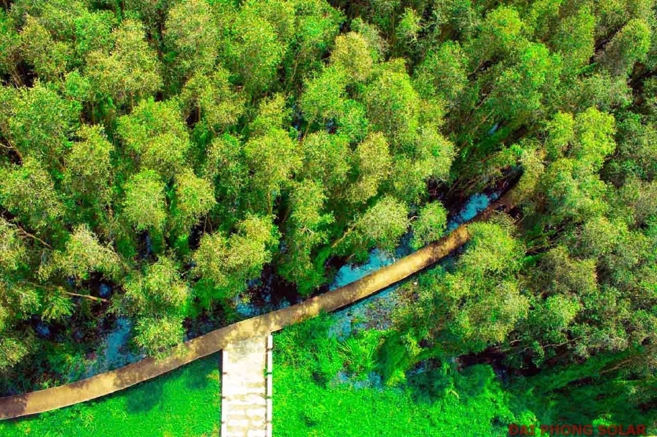 Kinh Nghiệm Du Lịch Miền Tây – Trải Nghiệm Cuộc Sống Miền Sông Nước