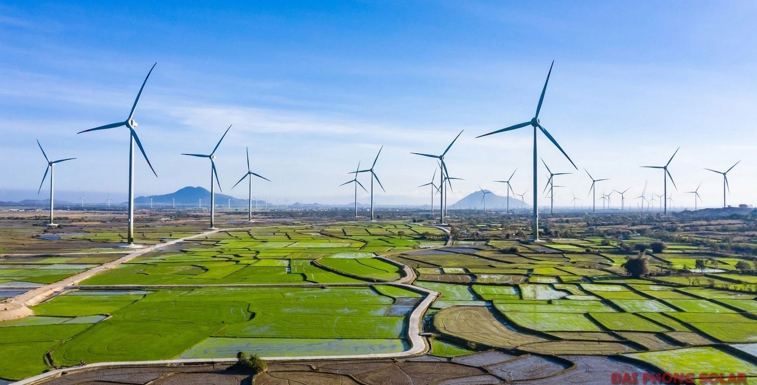 Nguồn Năng Lượng Tái Tạo Là Gì? Tiềm Năng Điện Mặt Trời