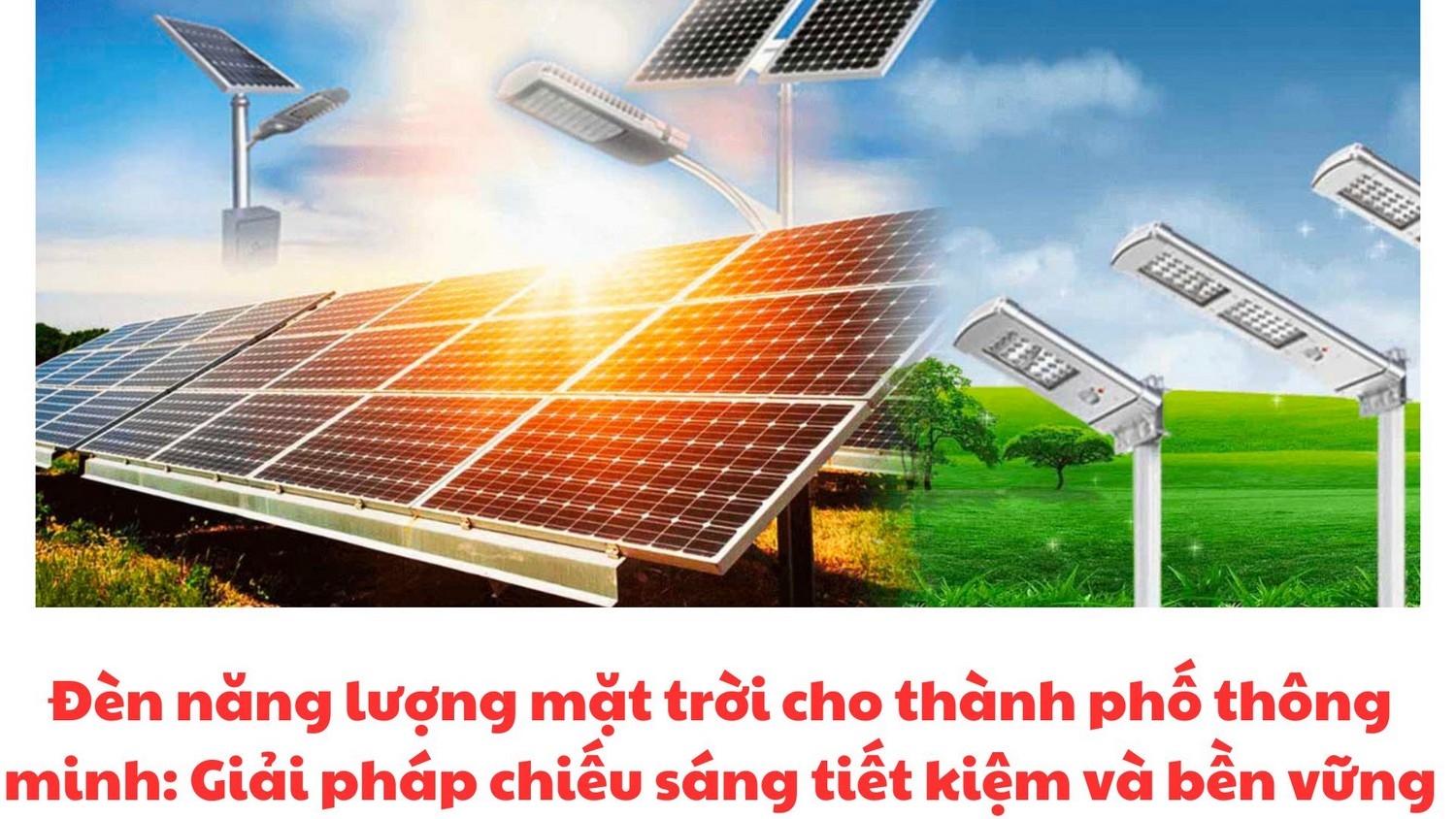 Đèn Năng Lượng Mặt Trời Cho Thành Phố Thông Minh