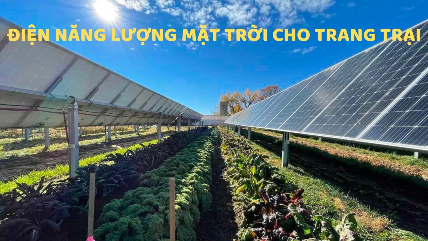 Lắp Đặt Hệ Thống Điện Năng Lượng Mặt Trời Cho Trang Trại Tiết Kiệm Chi Phí (3)