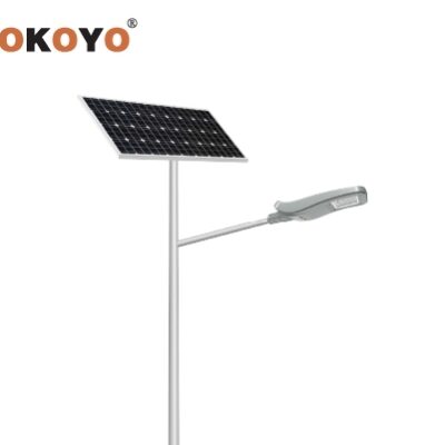 Den Led Nang Luong Mat Troi Sokoyo Teco 20w 298